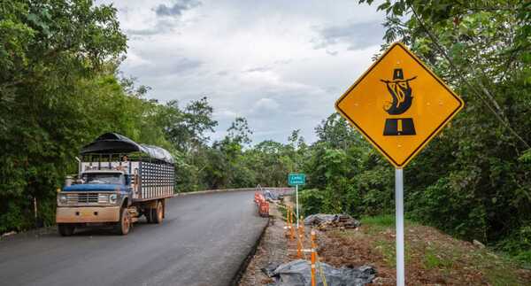 Invías lanza guía para la mitigación del atropellamiento de fauna silvestre imagen de la publicación