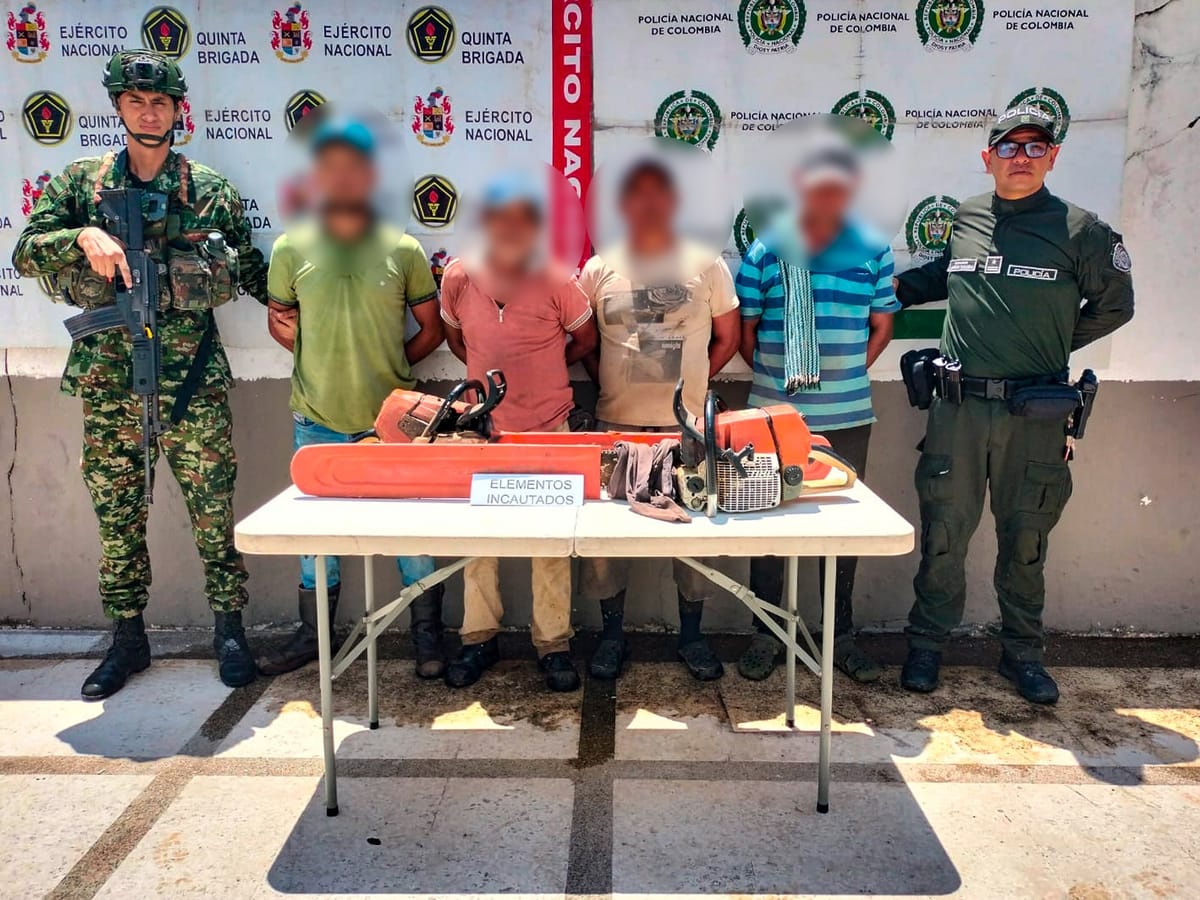 Capturan a cuatro personas por tala ilegal de árboles en zona rural de ...